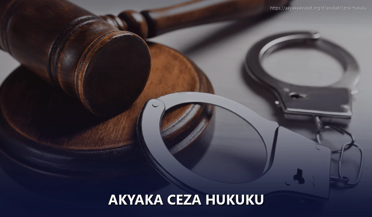 Akyaka Ceza Hukuku